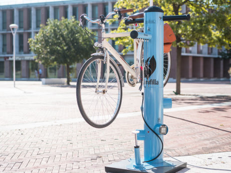 02_gallery_clorofilla